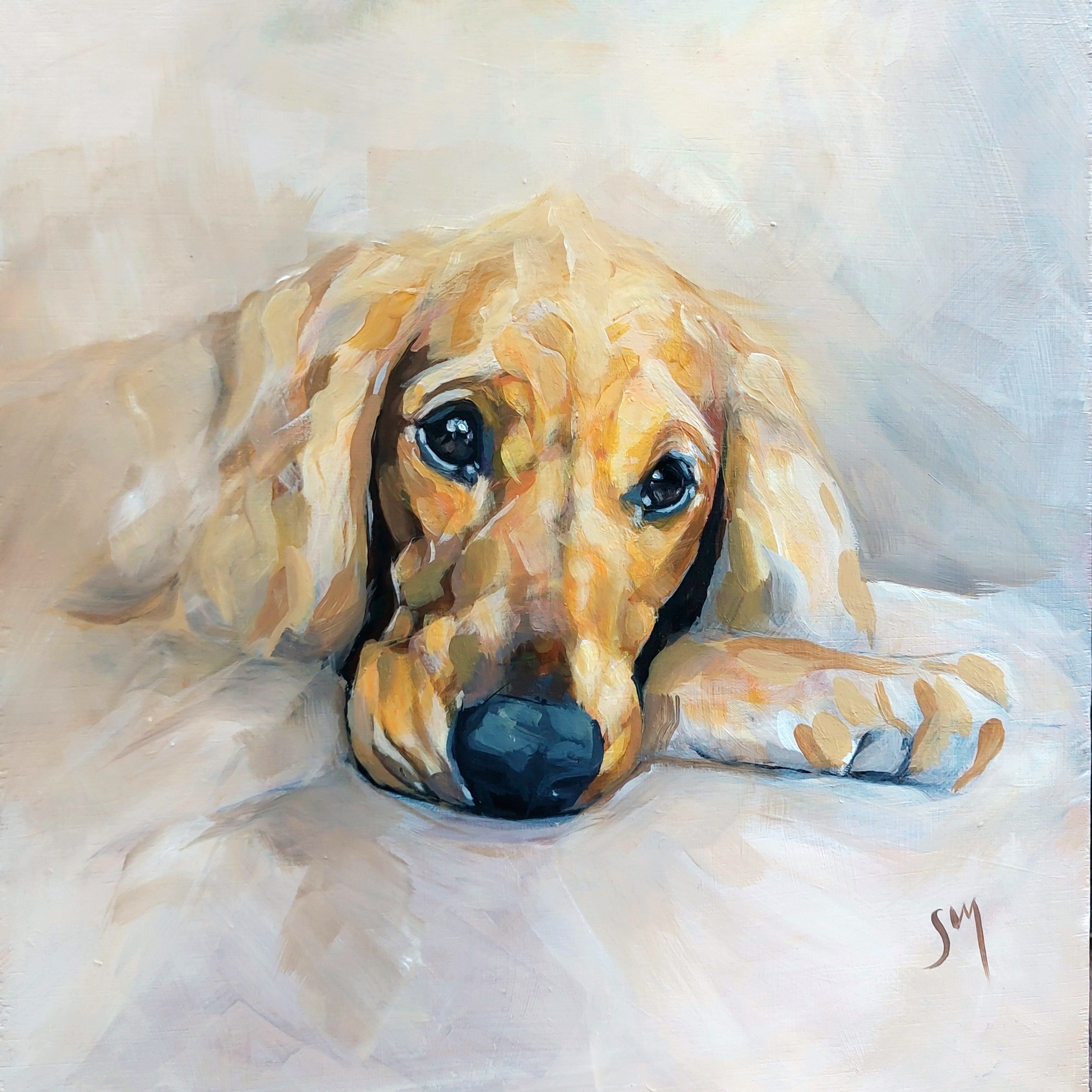 Cocker Spanial Portrait Painting